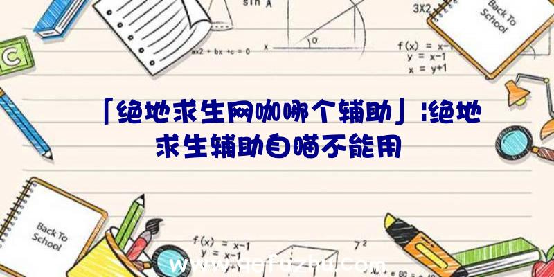 「绝地求生网咖哪个辅助」|绝地求生辅助自瞄不能用